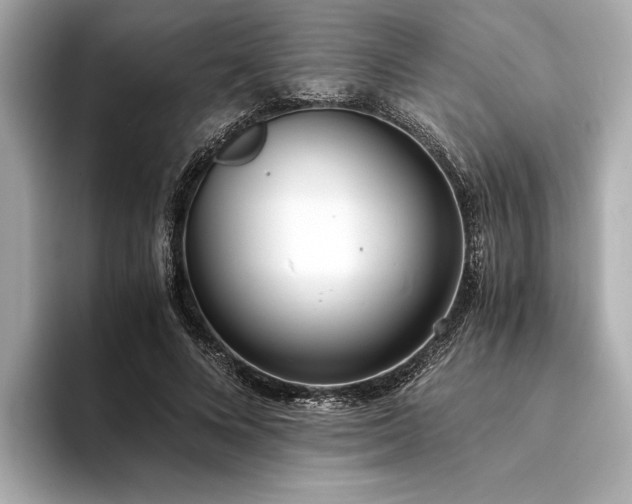 X0000094320688200711021352