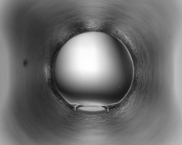 X0000094320689200711021352