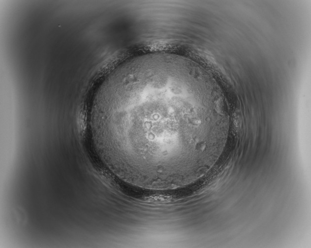 X0000094320691200711021352