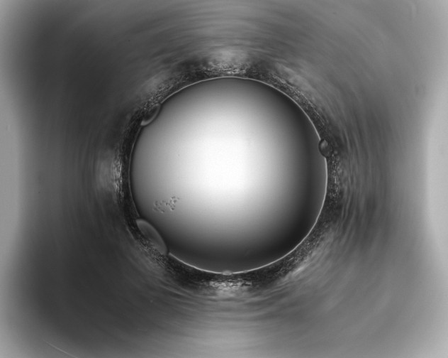 X0000094320693200711021352