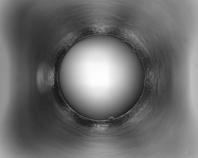 X0000094320694200711021352