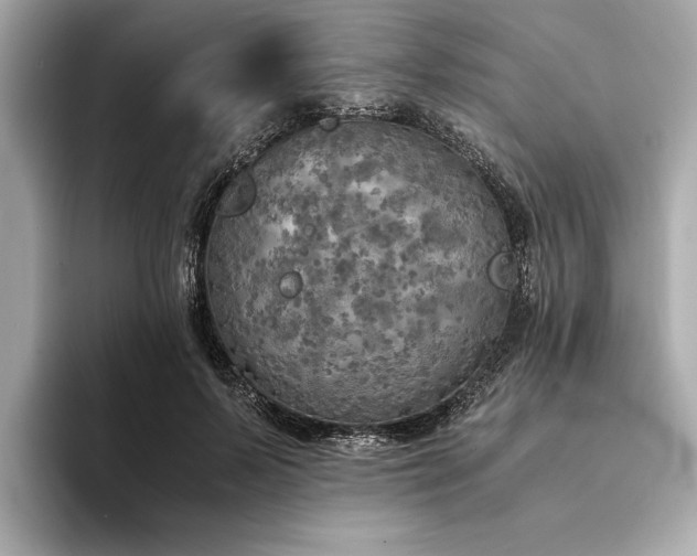 X0000094320695200711021352