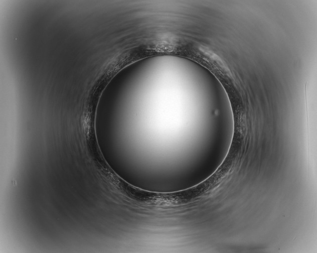 X0000094320697200711021352