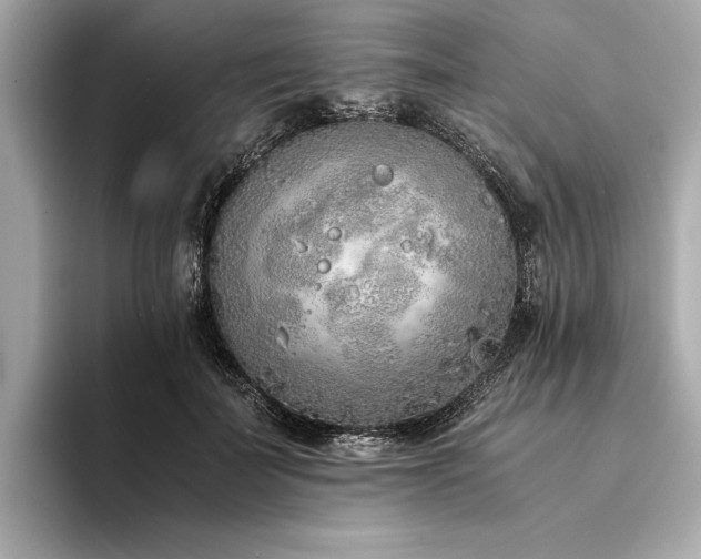 X0000094320699200711021352