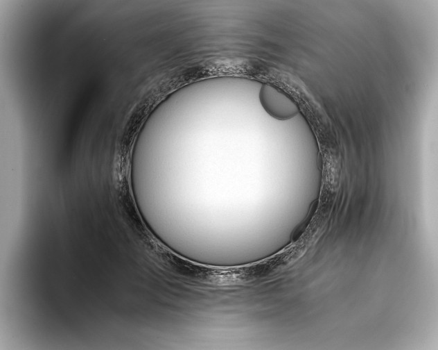 X0000094320701200711021352