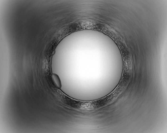 X0000094320705200711021352