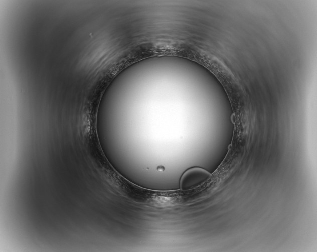 X0000094320706200711021352