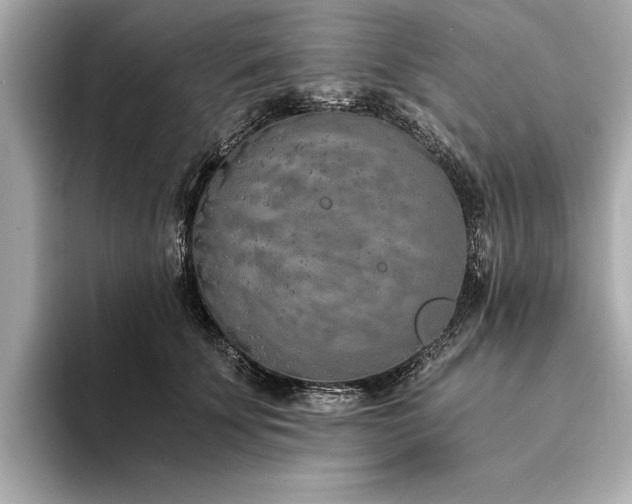 X0000094320707200711021352