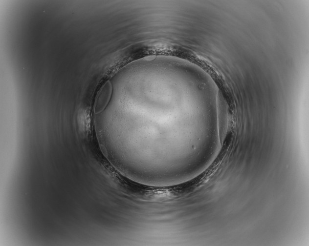 X0000094320715200711021352