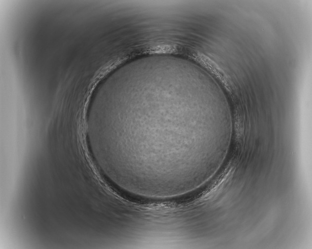 X0000094320721200711021351