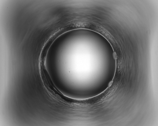 X0000094320722200711021351