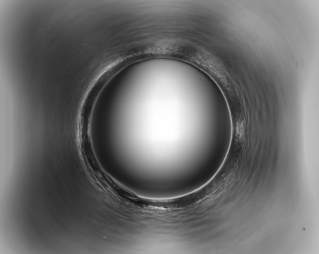 X0000094320724200711021351
