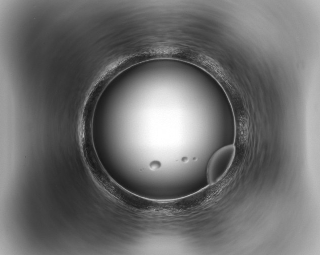X0000094320726200711021351