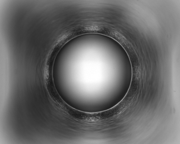 X0000094320731200711021351