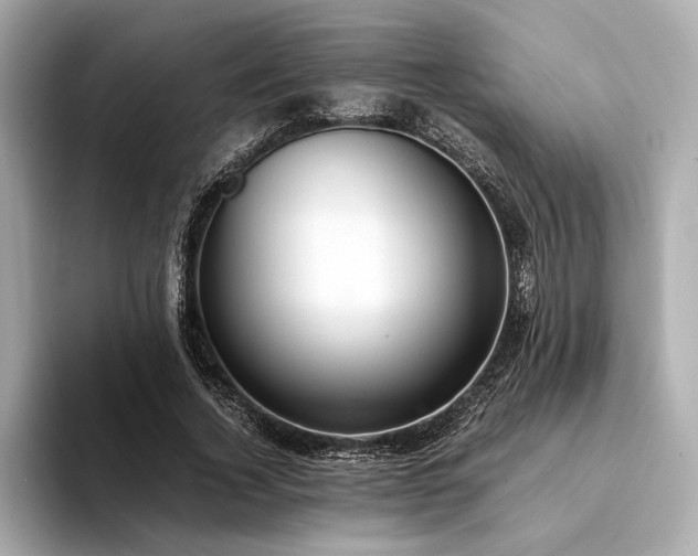 X0000094320732200711021351