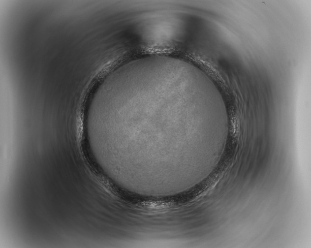X0000094320733200711021351