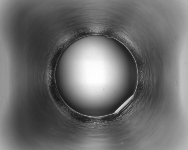 X0000094320736200711021351