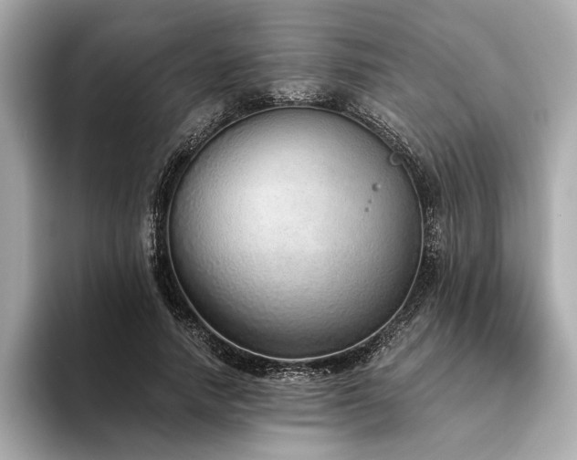 X0000094320738200711021351