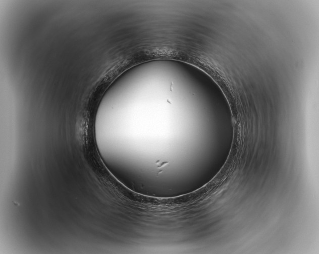 X0000094320739200711021351