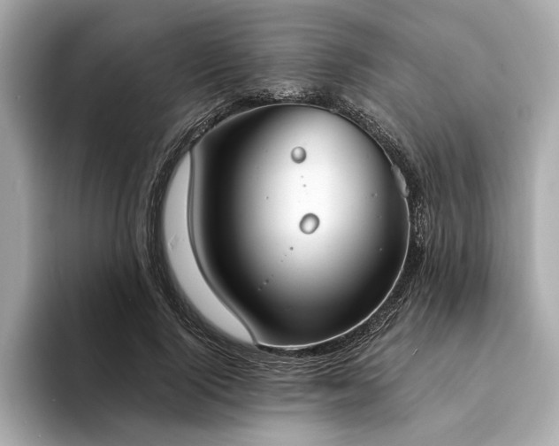 X0000094320740200711021351