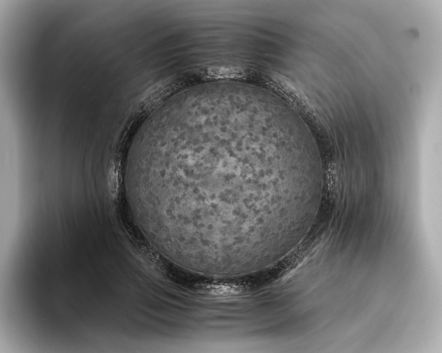 X0000094320741200711021351