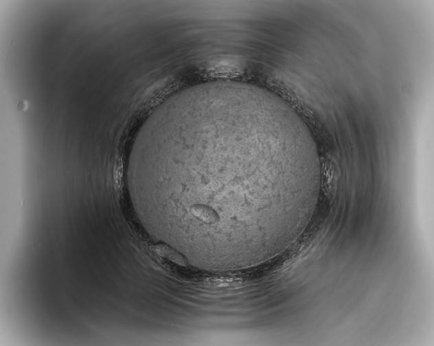 X0000094320745200711021351