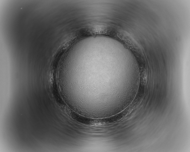 X0000094320746200711021351