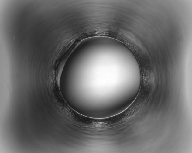 X0000094320748200711021351