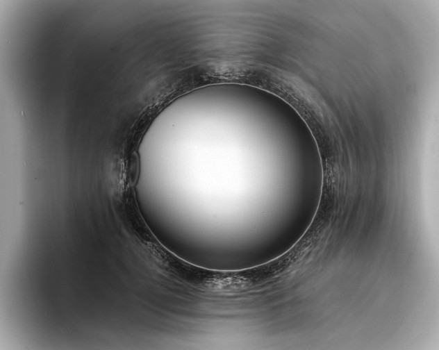 X0000094320752200711021351