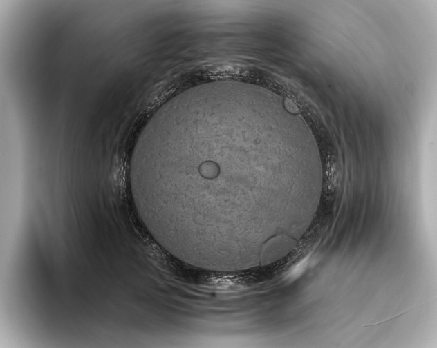 X0000094320753200711021351