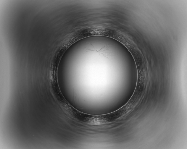 X0000094320755200711021351