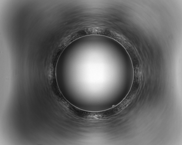 X0000094320760200711021351