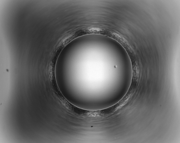 X0000094320762200711021351