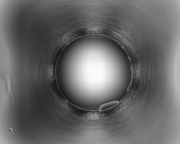 X0000094320764200711021351