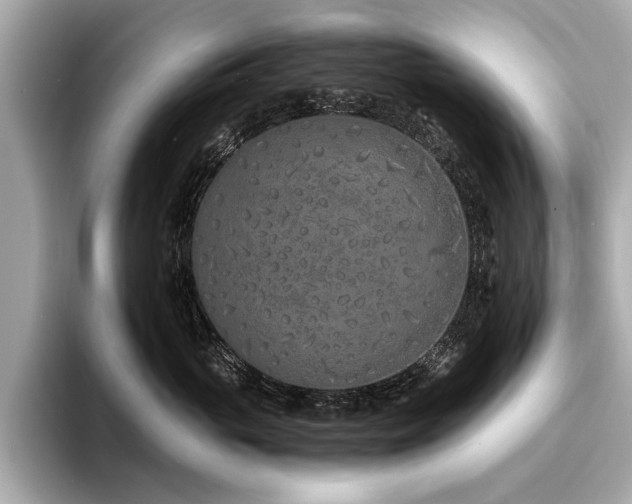 X0000094320765200711021351