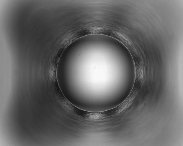 X0000094320766200711021351