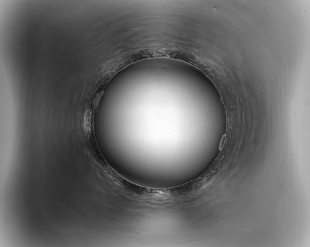 X0000094320768200711021351