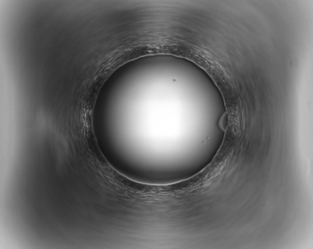 X0000094320770200711021351