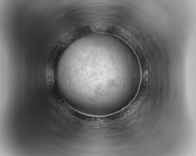 X0000094320772200711021351