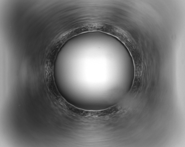 X0000094320773200711021351