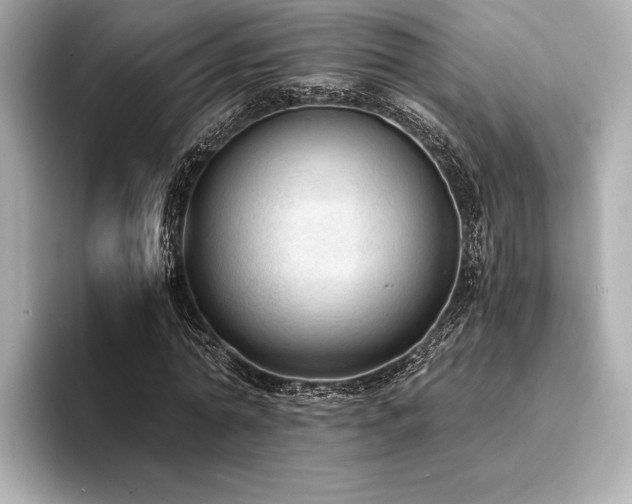 X0000094320774200711021351
