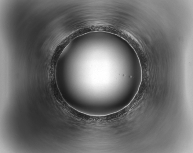 X0000094320775200711021351