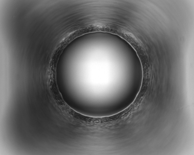 X0000094320776200711021351