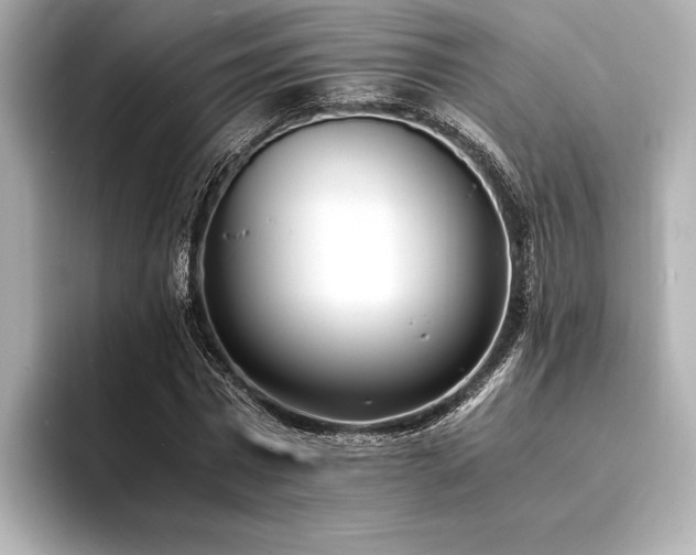 X0000094320777200711021351