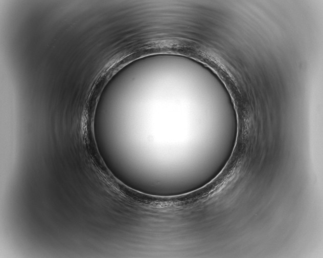 X0000094320778200711021351