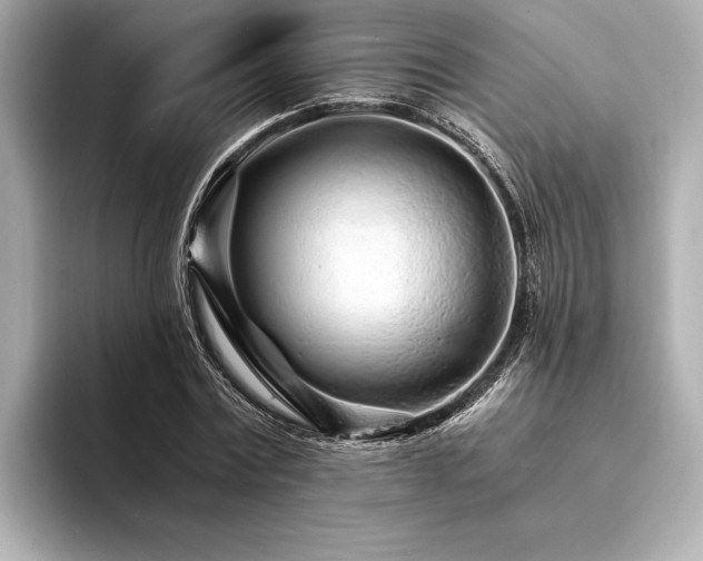 X0000094320779200711021351