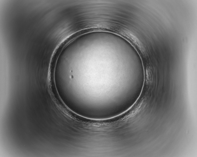 X0000094320780200711021351
