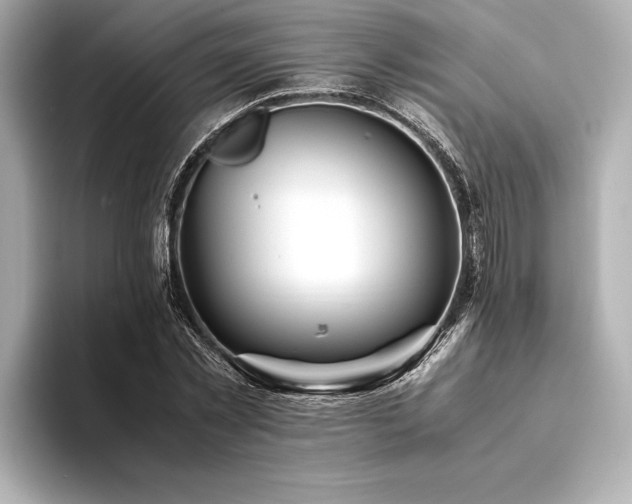 X0000094320781200711021351