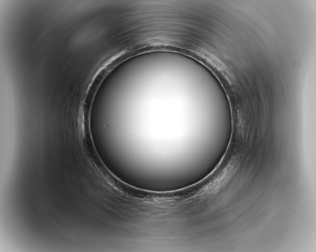 X0000094320782200711021351