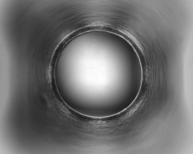 X0000094320783200711021351